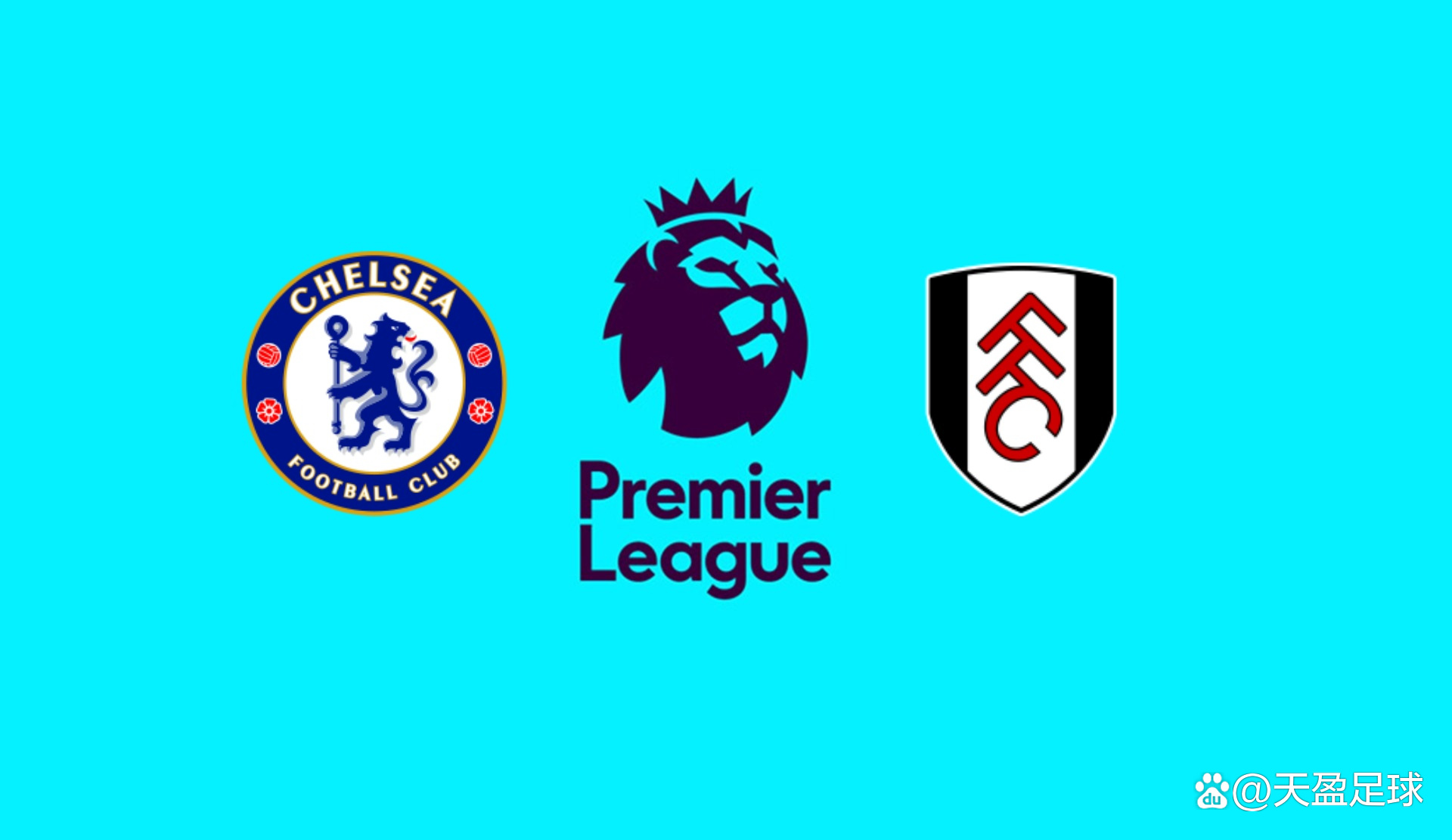 NBA每日最佳：约基奇40分完成大逆转，西卡带队取客场首胜